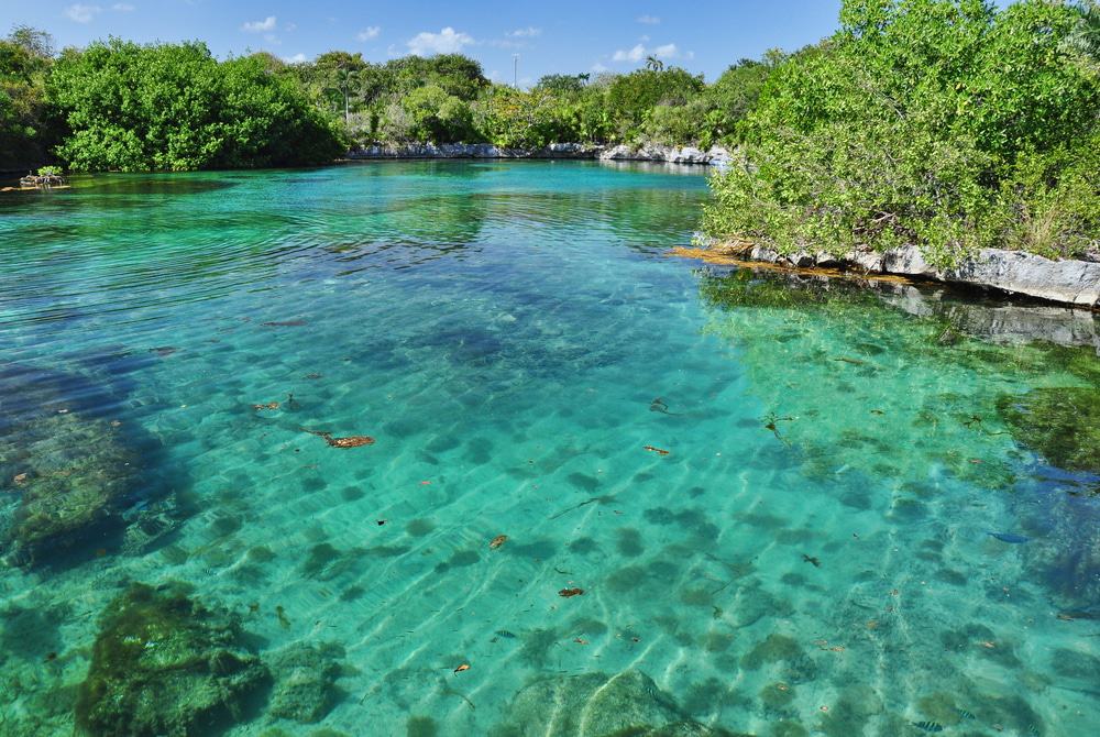 Chichen Itza, Xcaret, and Xel-Ha 3 Tours Combo Package