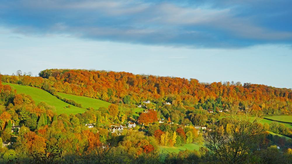 Swift Valley Nature Reserve