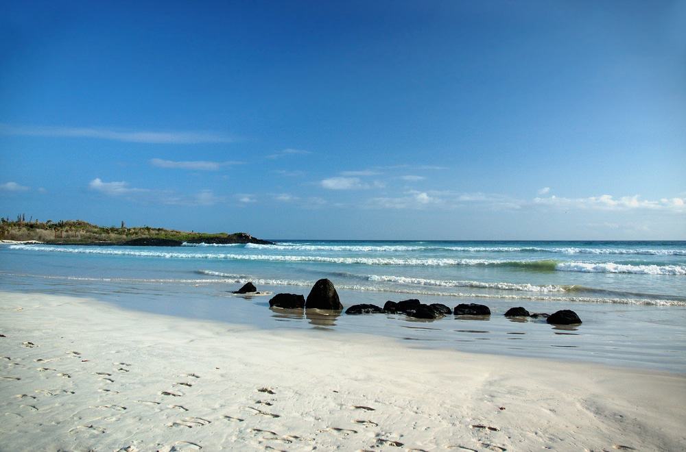 Tortuga Bay, Santa Cruz, Galapagos