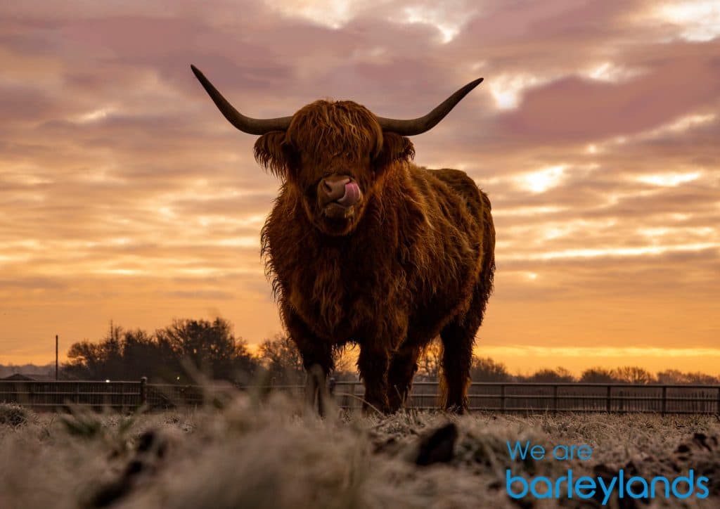 Barleylands