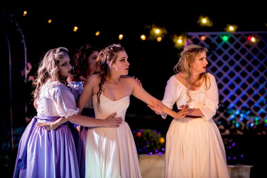 Chiltern Shakespeare Company