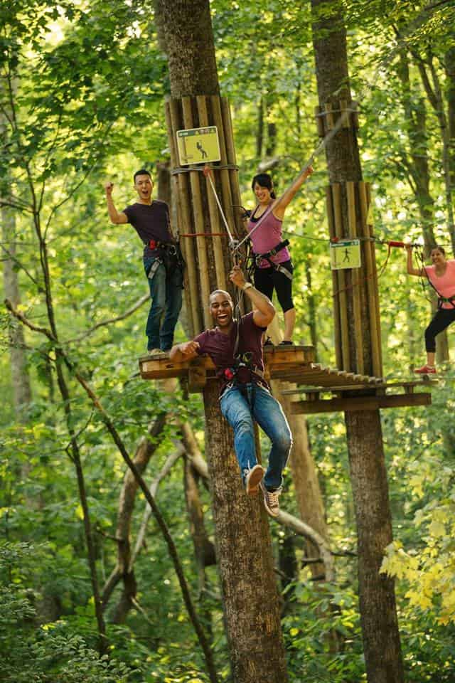 Go Ape Black Park