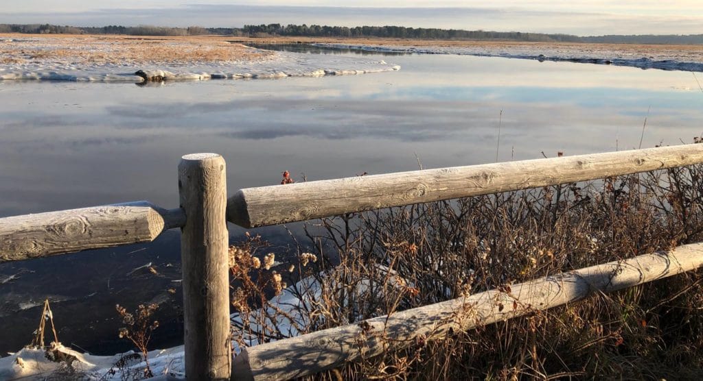 Scarborough Marsh Nature Center