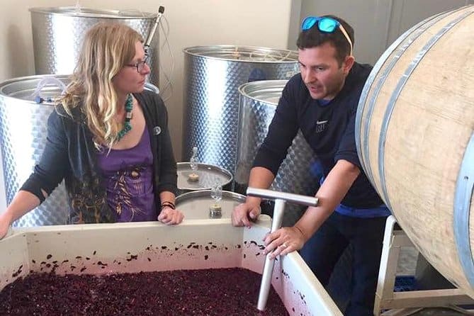 Small Wineries Of The Willamette Valley Tour