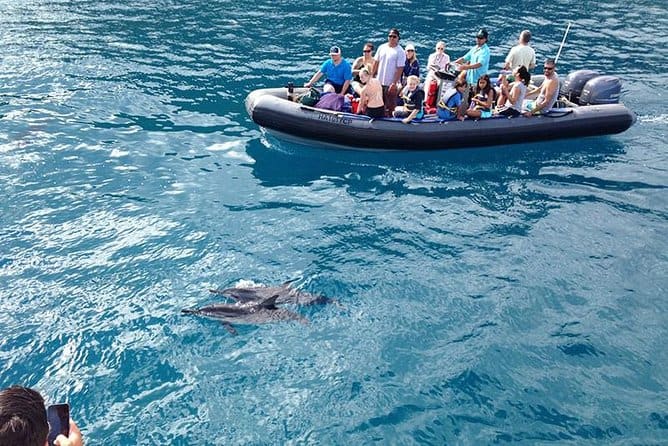 Whale-Watching Discovery Raft Tour