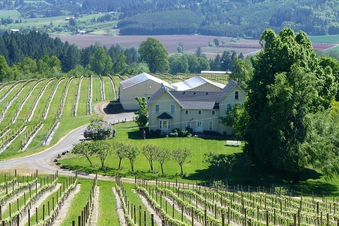 Willamette Valley Wine-Tasting Tour