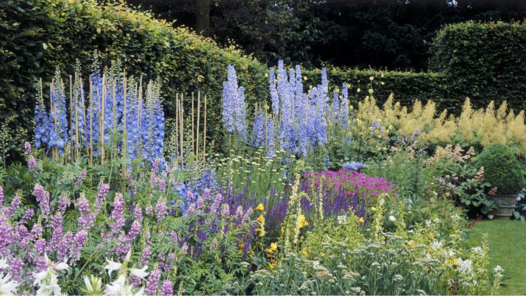 Dorneywood Garden