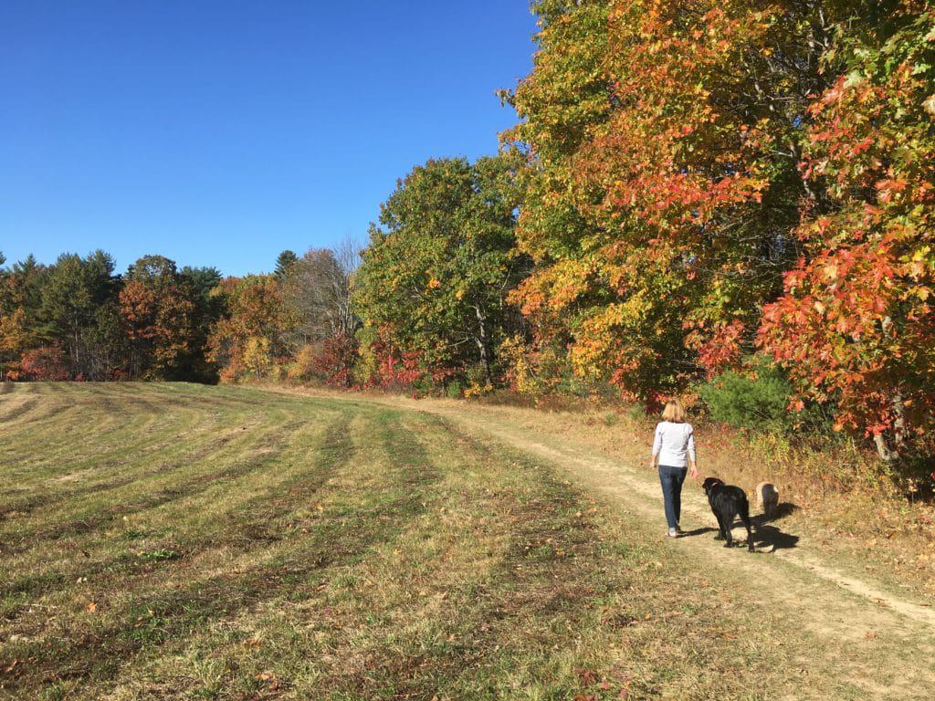 Fuller Farm Trail, Scarborough