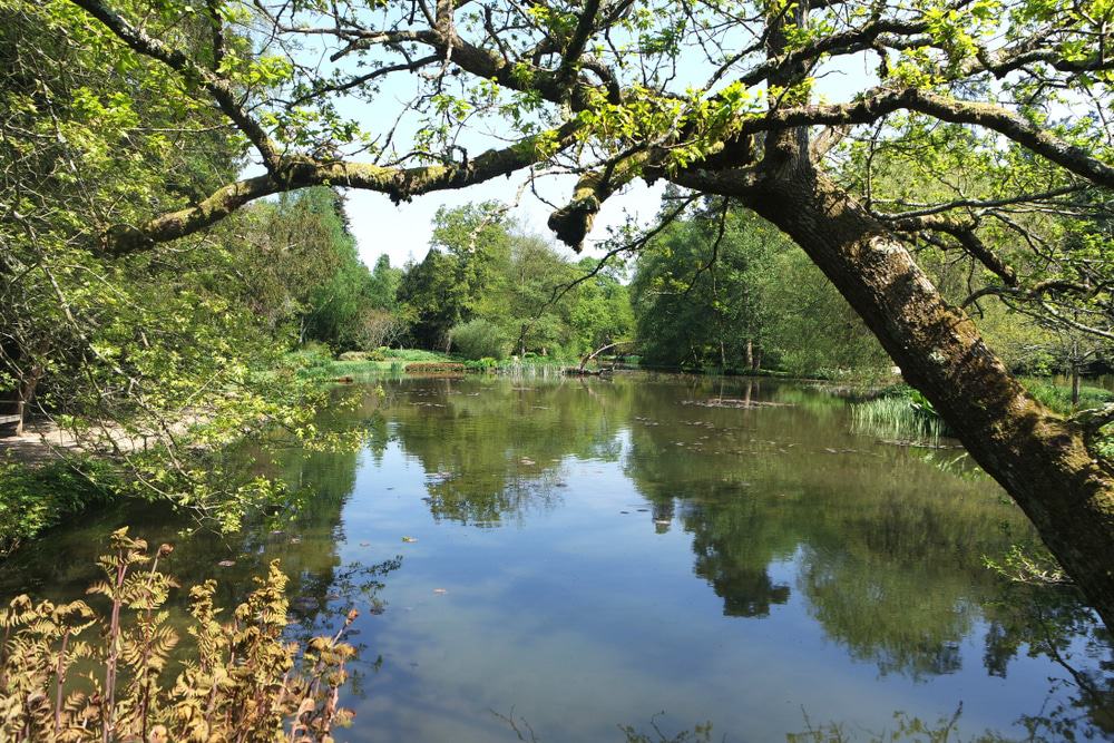 Longstock Park Water Gardens