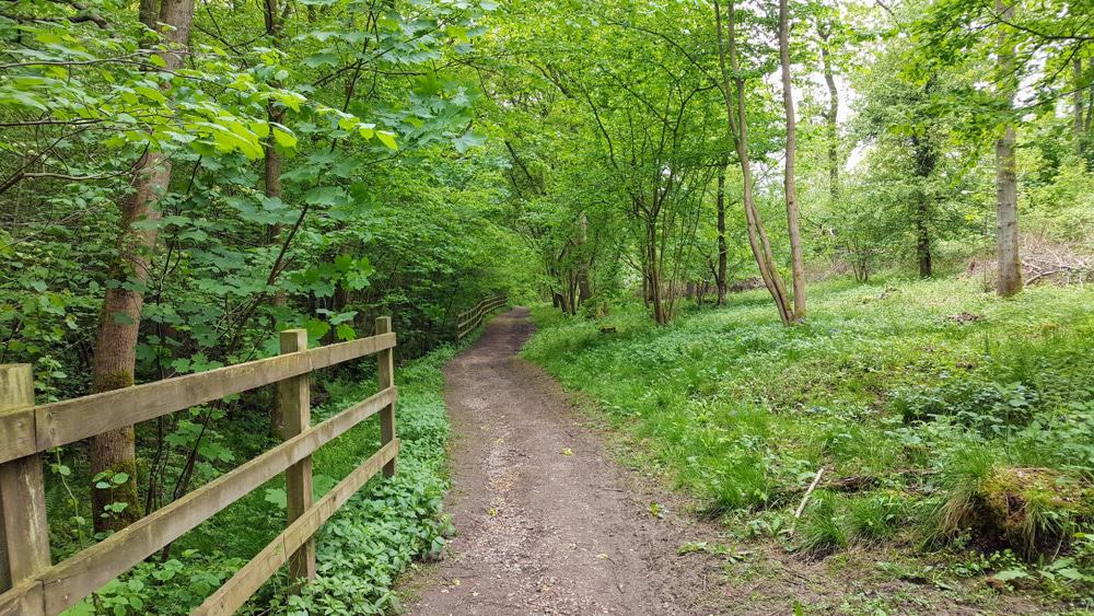 Fermyn Woods Country Park