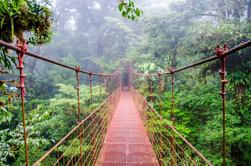 Monteverde Hanging Bridges