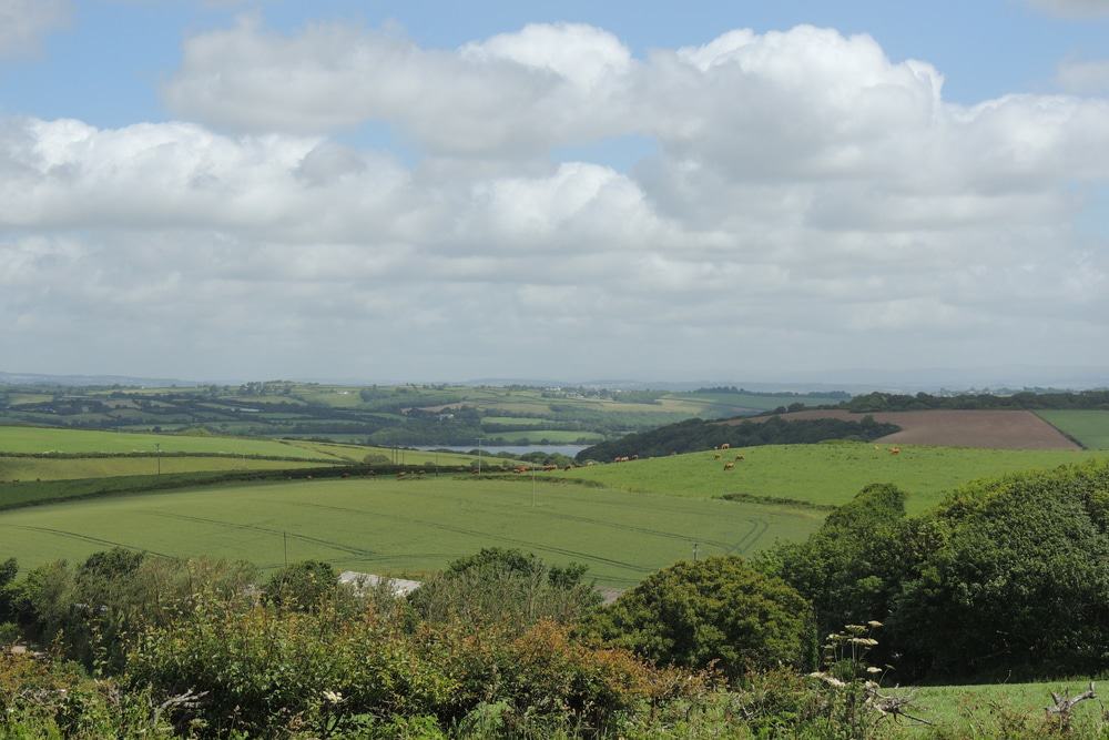 Tamar Valley