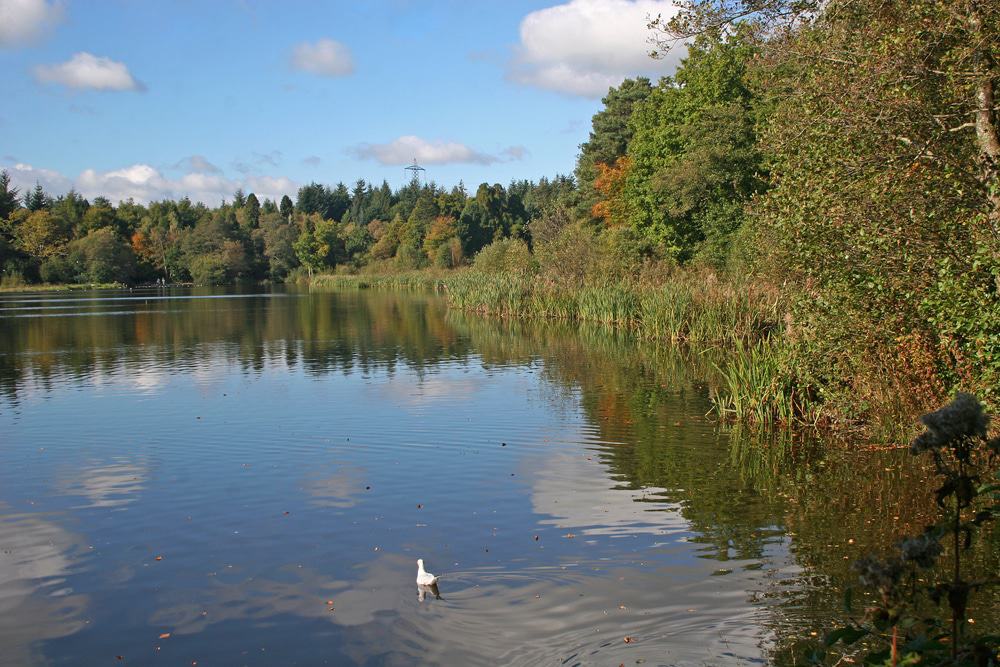 Stover Country Park
