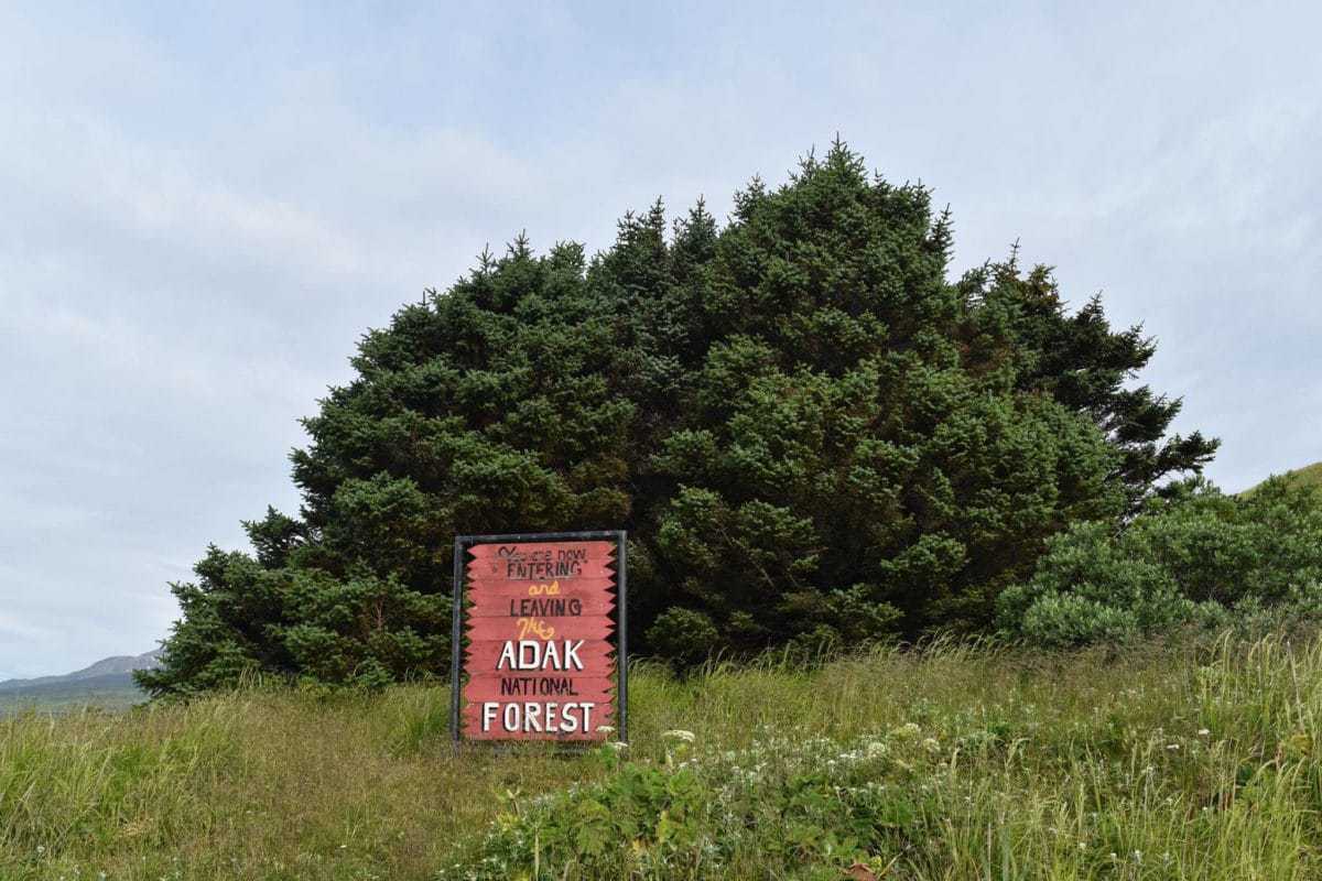 Adak National Forest