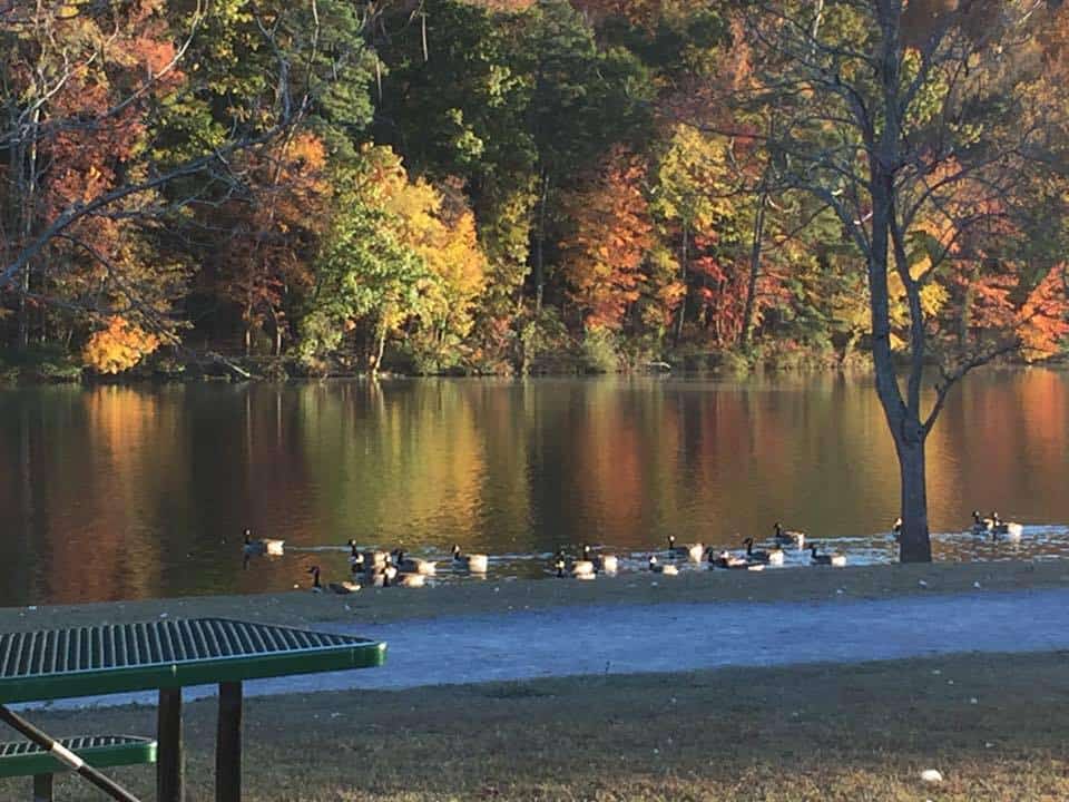 Cosby Lake Park