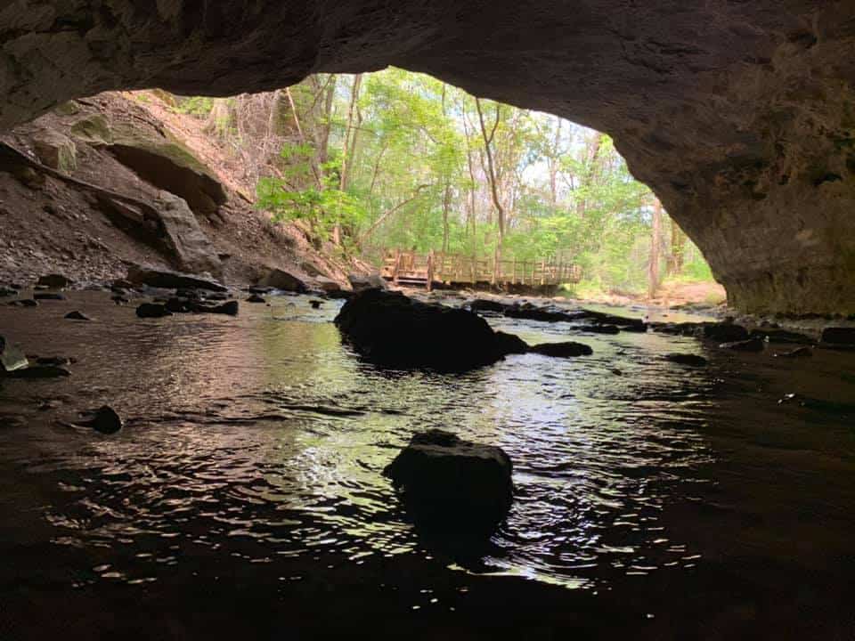 Devil's Icebox Columbia