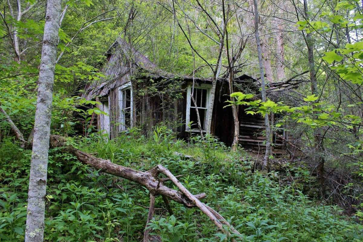 Lost Cove Settlement, Erwin