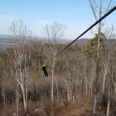 Screaming Eagle Zip-Lining Adventure