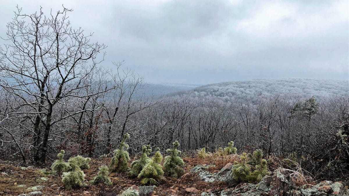Taum Sauk Mountain Ironton