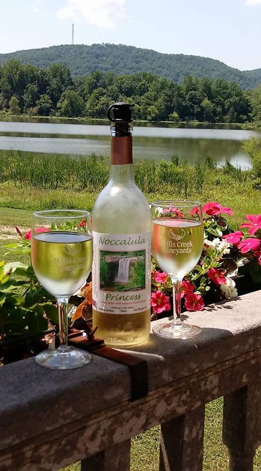 Wills Creek Vineyards