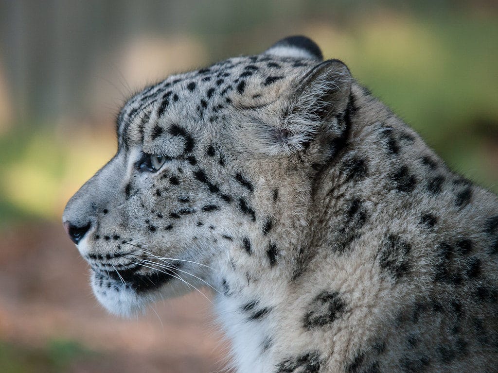 Paradise Wildlife Park