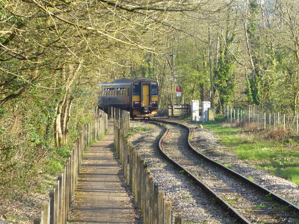  Looe Valley Line