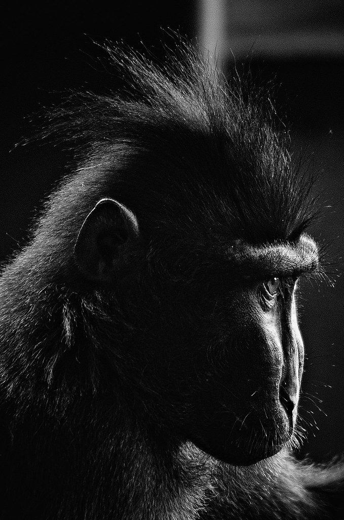 Paignton Zoo Environmental Park