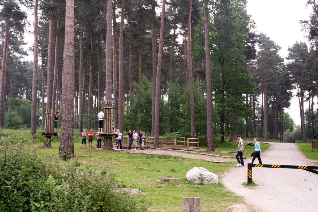 Go Ape Cannock