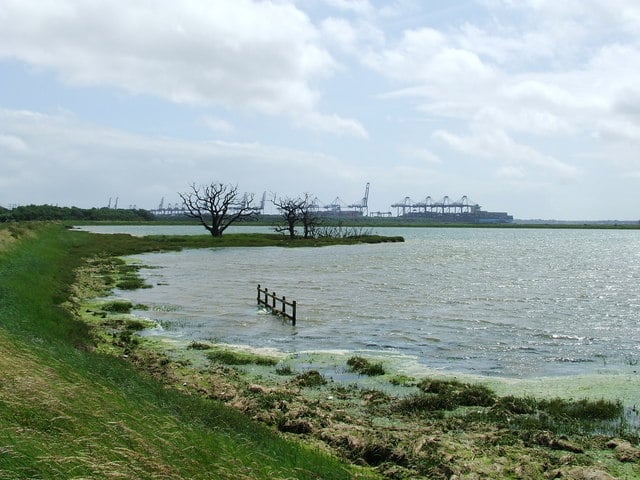 Trimley Marshes