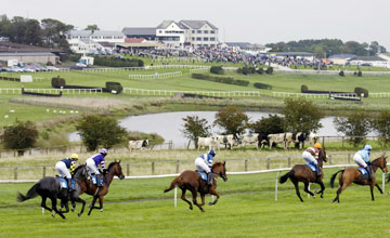Hexham Racecourse