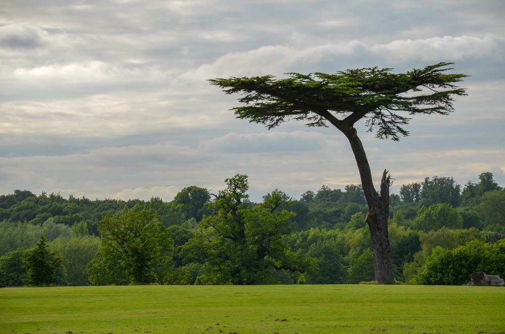 Cassiobury Park, Watford