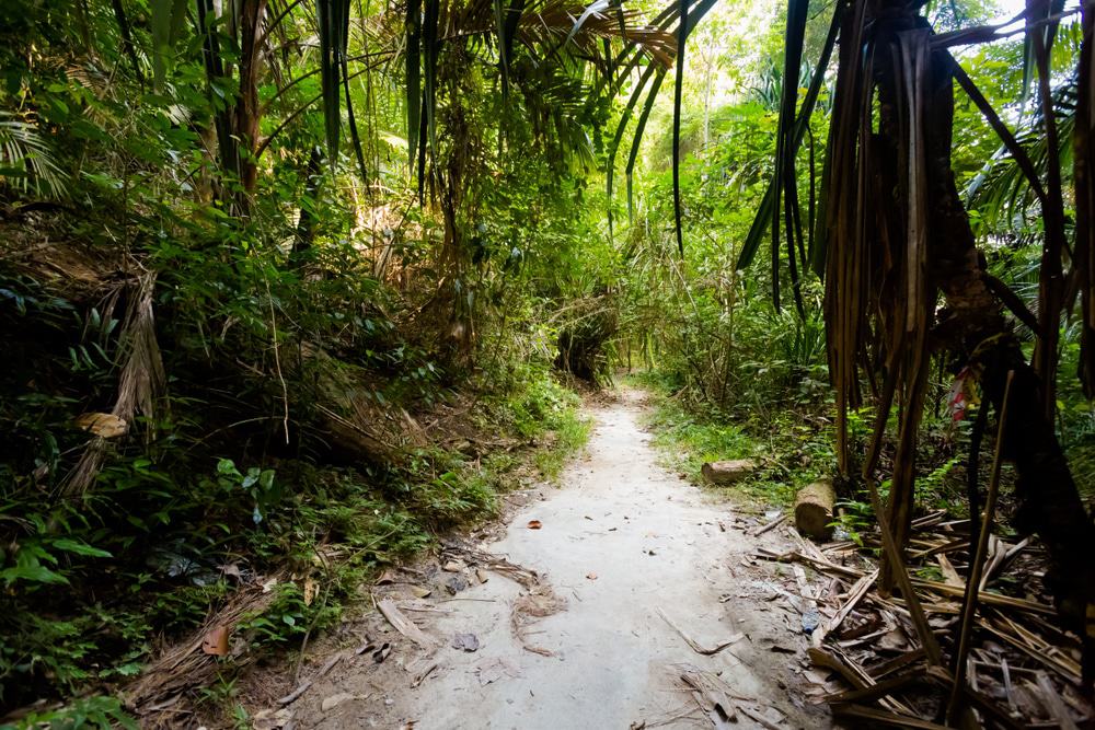 Pangkor Trekking