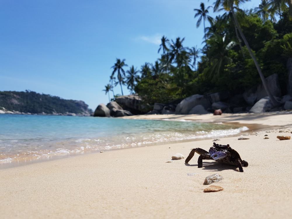 Aur Island Johor