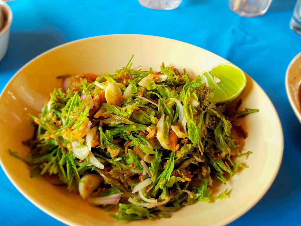 Myanmar Salad