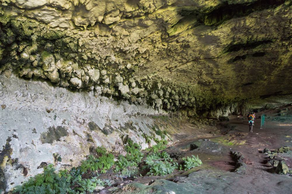 Niah National Park