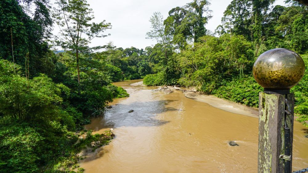 Danum River