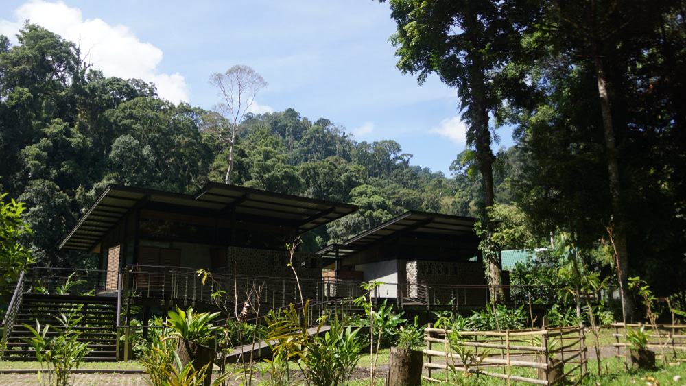 Rainforest Lodge Danum Valley