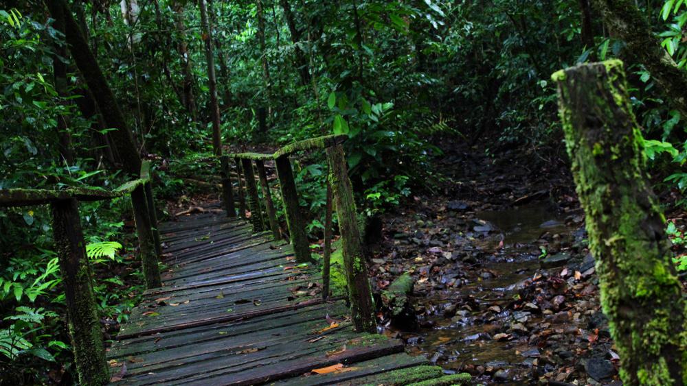 Kubah National Park