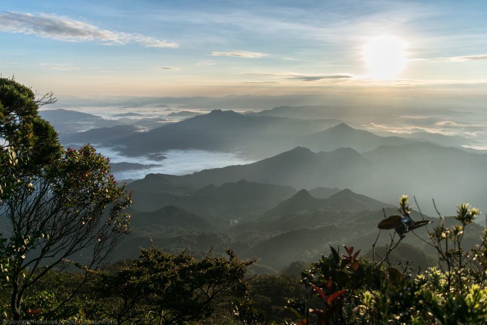 Mount Tahan