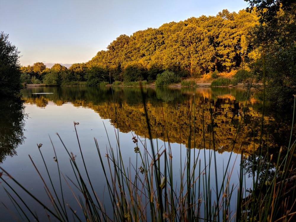 Vicar Water Country Park