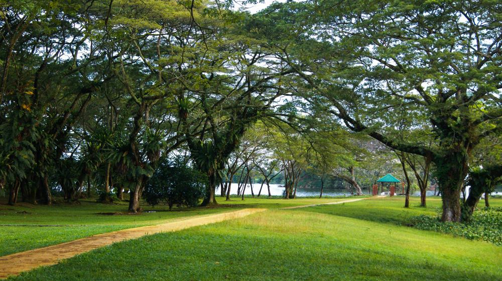 Kinta Nature Park