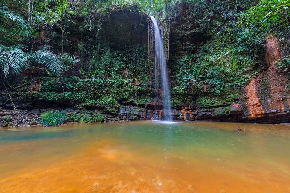 Lambir Hills National Park