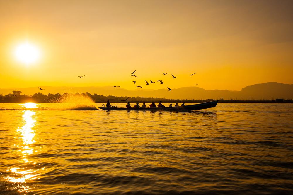 Inle Lake Birds
