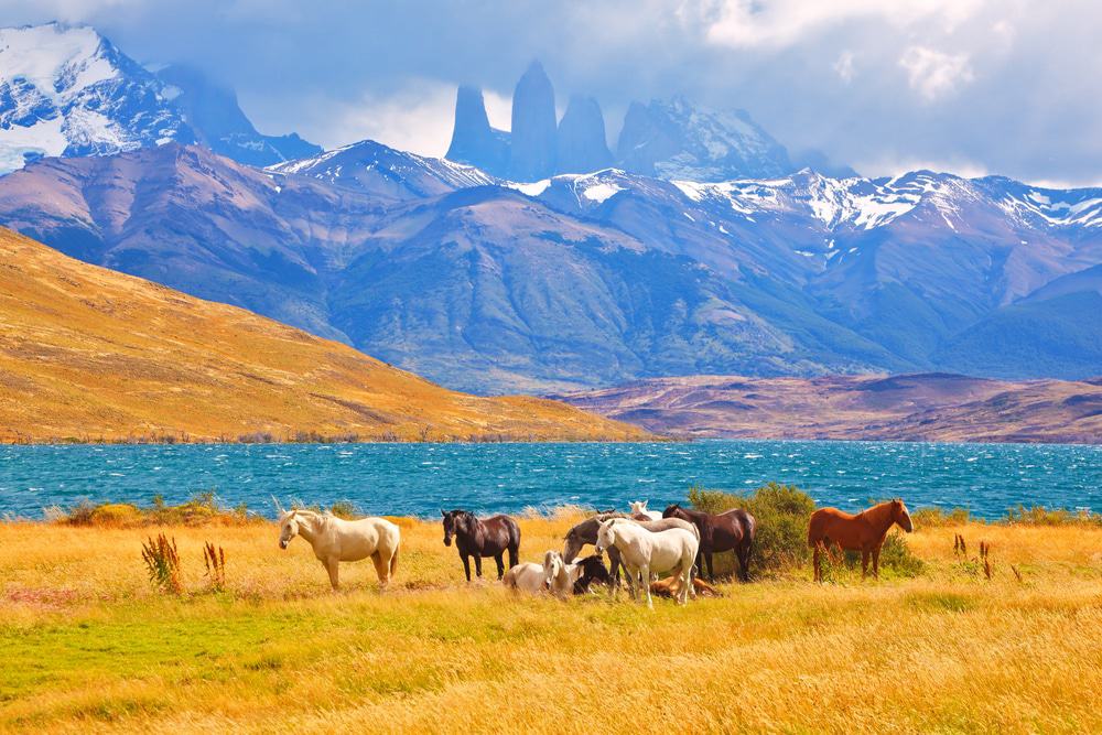 Torres del Paine