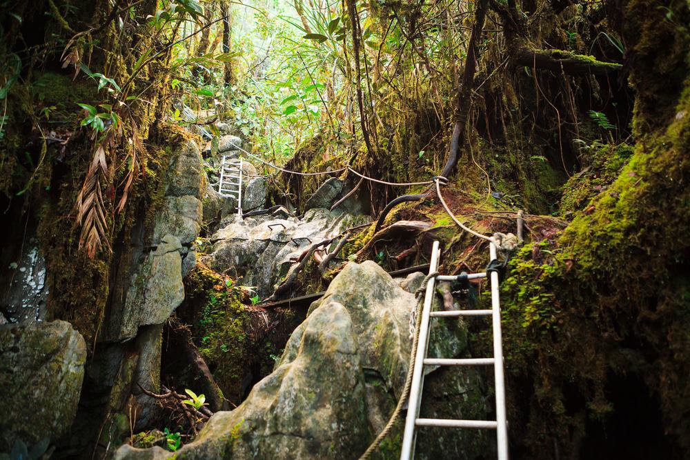 Gunung Mulu National Park