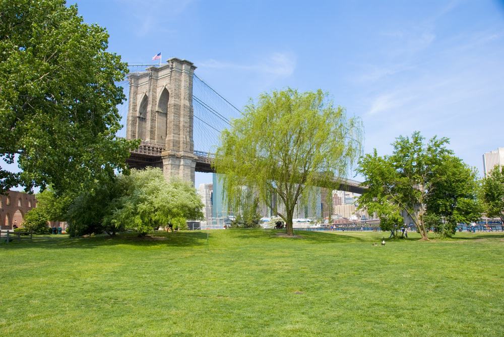 Brooklyn Bridge Park