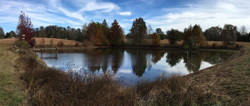 Cane Creek Canyon Nature Preserve