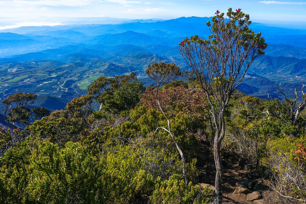 Ranau Sabah