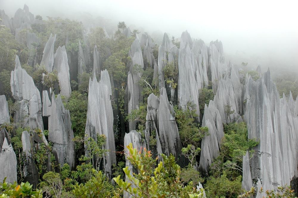 Gunung Mulu National Park