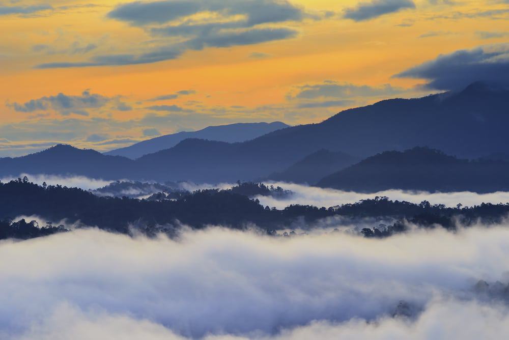 Danum Valley Sunrise